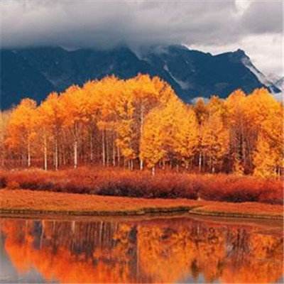 云开平台app最新版